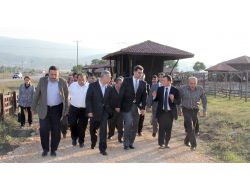 Milli Eğitim Bakan Yardımcısı'ndan Ambarköy Müzesi'ne Övgü