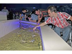 Keçiören'de Engelliler, Balıklarla Rehabilite Oluyor