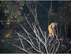 Sınır Hattındaki Yangın Kontrol Altına Alındı