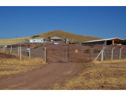 Hırsızlar Tel Örgüyü Keserek Koyunları Çaldılar