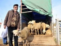 Kurbanlıkları Elde Kalan Besicilerin Yüzünü Et Balık Kurumu Güldürdü