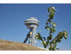 Çintimar: Spor Tesislerini Kiralamak İsteyen Bakanlığa Başvuracak