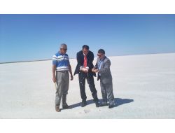 Tuz Üreticilerin Gözü Avrupa Pazarında