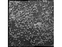 Mars’ta Esrarengiz Küreler Keşfedildi