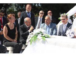 Devlet Bahçeli, Bartın'da Nikah Şehitliği Yaptı