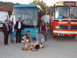 Kadıköy Belediyesi Araç Filosunu Genişletti!