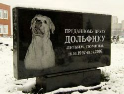 Moskova'da Hayvan Mezarlığı Büyük İlgi Görüyor