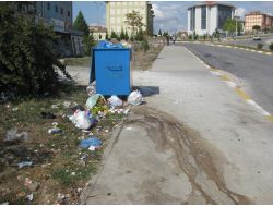 Yeni Yerleşimde Çöp Sorunu İnsan Sağlığını Tehdit Ediyor