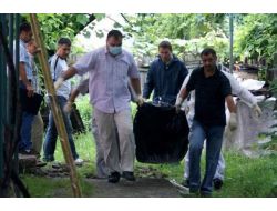 Ayısavar Sistemi De Fayda Etmedi: Bir Kişi Daha Ayı Saldırısında Öldü