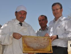 Ankaralı Balcılar Eski Günlerine Dönmek İçin Çalışacak