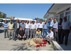 Öğrenci Servis Şoförleri, Kazasız Bir Yıl İçin Kurban Kesti