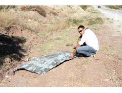 Nato Petrol Boru Hattı'nda Patlama