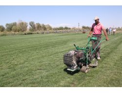 Yerli Çim Üreticisi Dışa Bağımlılığı Azalttı