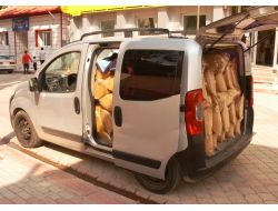 Kadirli'de 500 Kilo Kaçak Tütün Ele Geçirildi