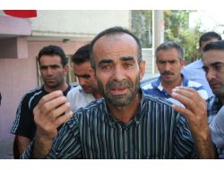 Acılı Şehit Annesi: Bi Tanemi Bulun Getirin