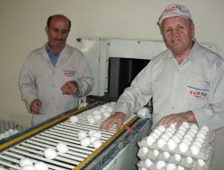 Okullar Açıldı, Yumurta Yüzde 100 Zamlandı!