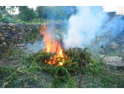 Kenevir ve Kaçak Sigara Operasyonu