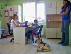 Konuşma Güçlüğüne Hayvan Destekli Terapi