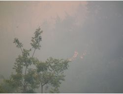 Suriye Sınırındaki Yangın