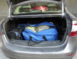 Denizli'de 10 Kilogram Esrar Ele Geçirildi