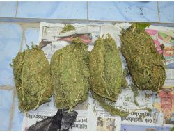 Birecik'te 4 Kilo Esrar Ele Geçirdi