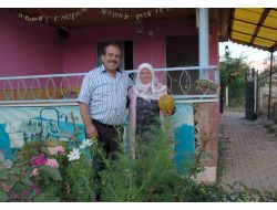 Suşehri'nde Kurduğu Hobi Bahçesinde Organik Üretim Yapıyor