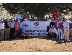 Enerjisa 4 Yılda 4 Bin Kekliği Doğayla Buluşturacak