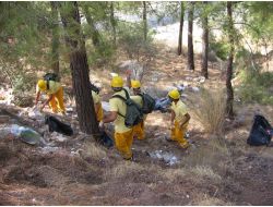 Marmaris’te Ormanlar Temizleniyor