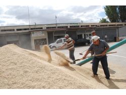 Elbistanlı 400 Çiftçi, Kuraklık Affına Müracaat Etti