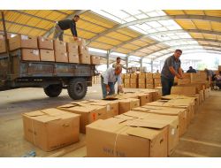 Sındırgı'da Sezonun İlk Tütün Alımı Yapıldı