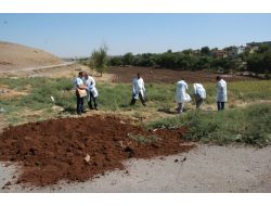 Vatandaşın Dikkati Diyarbakır’ı Faciadan Kurtardı
