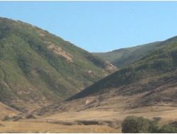 Muş’ta Çatışma: 1 Şehit, 2 Yaralı