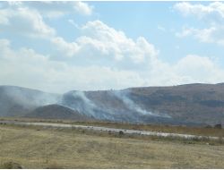 Develi'de 20 Dönüm Üzüm Bağı Yandı