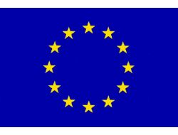 AB’DEN BALYOZ KARARINA İLK TEPKİ