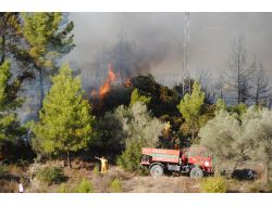 Manavgat'ta 3 Ayda 20 Dönümlük Ormanlık Alan Yandı