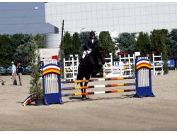 Türkiye Kupası Binicilik Müsabakaları Devam Ediyor