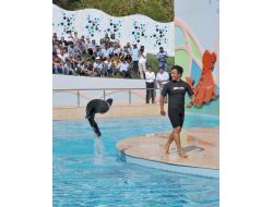 Gaziantep Hayvanat Bahçesi’nin Yeni Sakinleri Foklar, Gösterileriyle Büyüledi