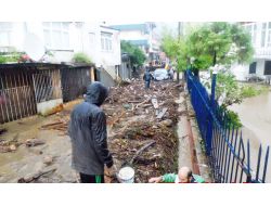 Hopa'da Sağanak Yağış Sel Baskınlarına Neden Oldu