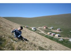 Karadeniz Yaylalarında Kışın Habercisi 'Vargit' Çiçekleri Açtı