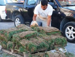 Melikgazi Belediyesi Hazır Çim Kullanarak Tasarruf Etti