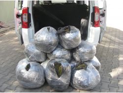 Muş Emniyetinden Uyuşturucu Operasyonu