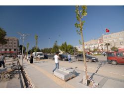 Büyükşehir Belediyesi Şehir Merkezini Ağaçlandırıyor
