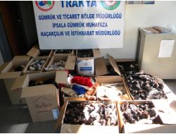 İpsala'da Kaçak Kürk Operasyonu