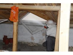 Samsun'da Eşek Arıları Mahalleliye Korku Dolu Anlar Yaşattı