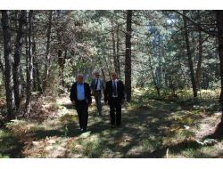 Bolu Valisi Özçimen, Yeni Güney Köyünü Ziyaret Etti