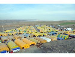 Mamak’ta Kurban Hazırlıkları Hızla Devam Ediyor