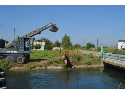 Telef Olan İnekleri Sulama Kanalına Attılar