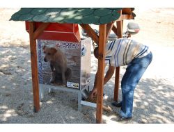 Kozan Belediyesi Sokak Hayvanları İçin Beslenme Üniteleri Kurdu
