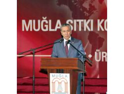 Başbakan Yardımcısı Arınç: Üniversitelerde Dogmatik Zihniyetin Yeri Yoktur