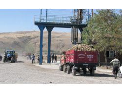 Yozgat Şeker Fabrikası Bu Yıl 357 Bin Ton Şeker Pancarı İşleyecek
